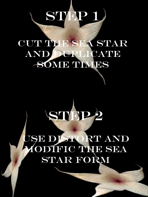 Creation of STARFISH: Step 1